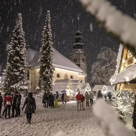 Pino Alpino Hotel