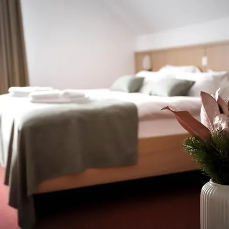 Pino Alpino 3* Kranjska Gora