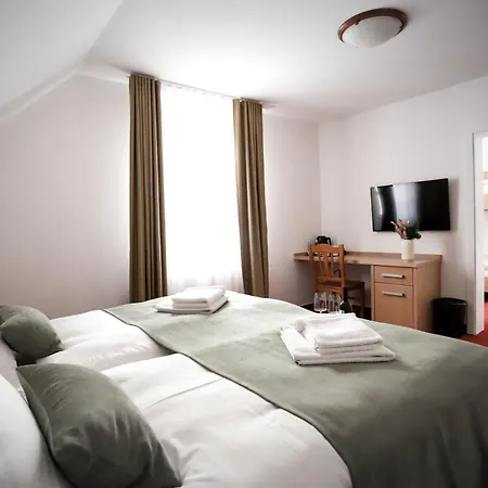 Pino Alpino 酒店 3*