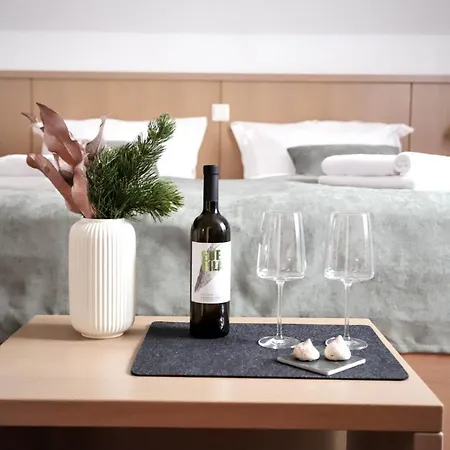 Pino Alpino 酒店 克拉尼斯卡戈拉