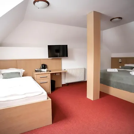 Pino Alpino Hotel