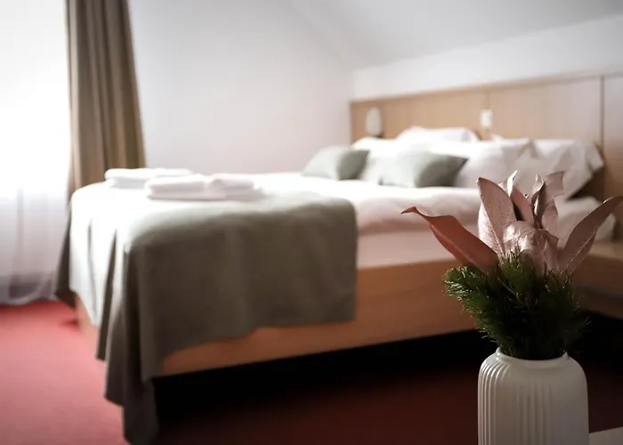 Pino Alpino 3* Kranjska Gora